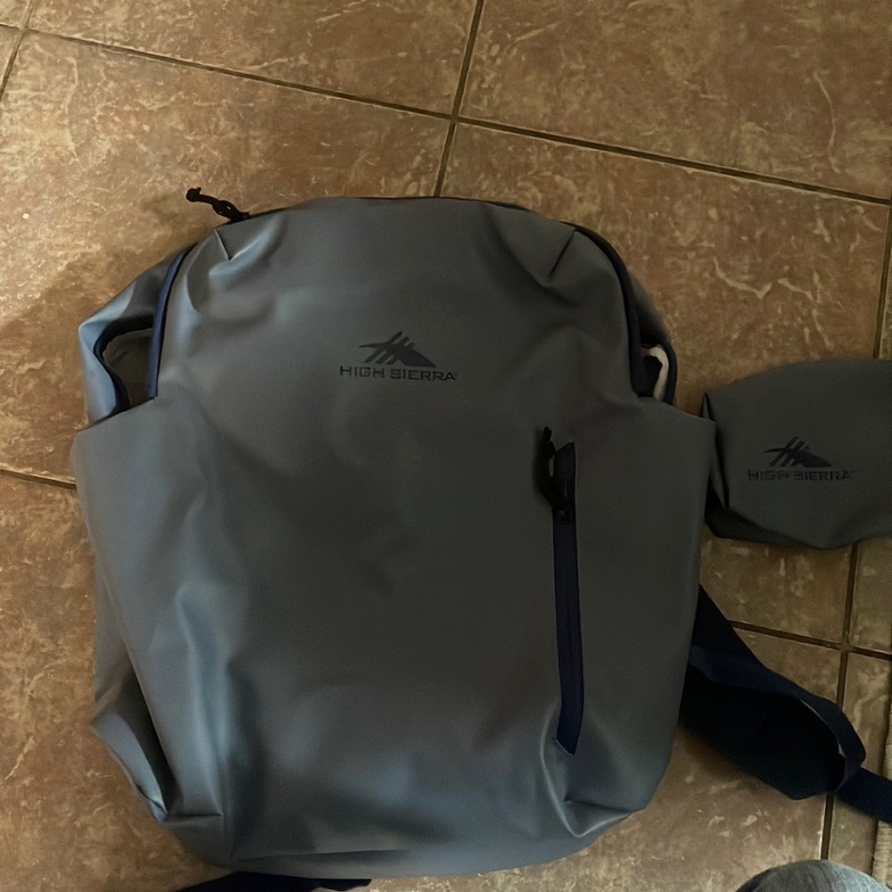 High Sierra Pro Access Laptop Backpack